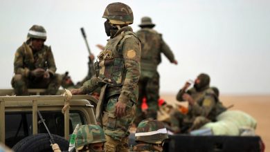 تحشيد الجهود
