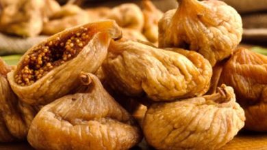 معدة