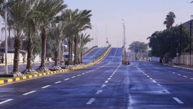 المشاريع