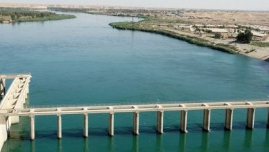 مناسيب