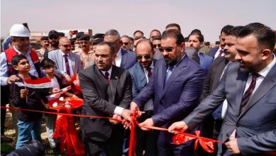 خط الربط