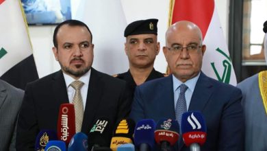 الحسناوي