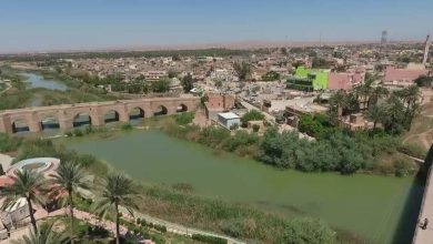 مديرية توزيع