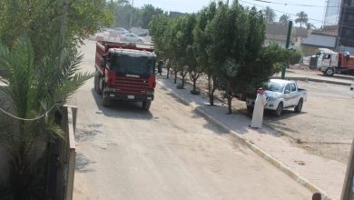 محصول الحنطة