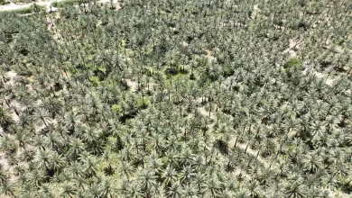 الموارد