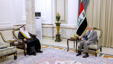 السفير الإماراتي