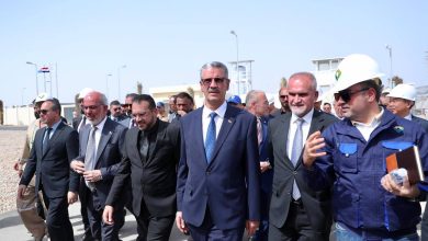 حقل مجنون