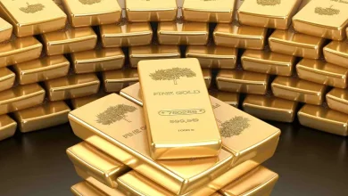 الدول العربية