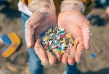 مصادر مفاجئة