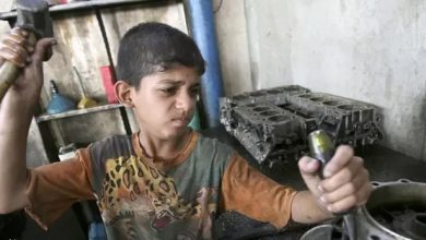 وزارة العمل