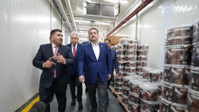 مصنع سولتير