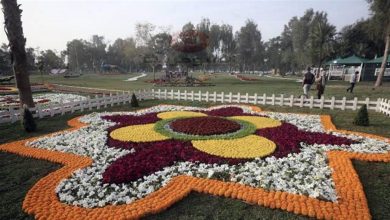 مهرجان الزهور الدولي