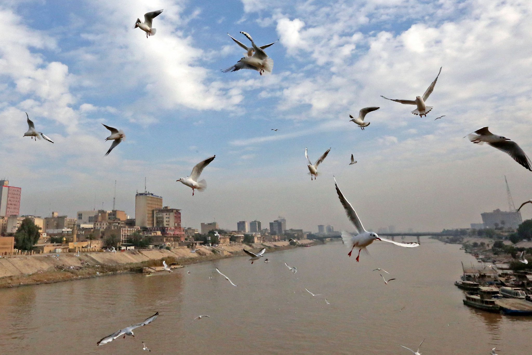 في درجات