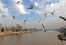 أمطار متوسطة