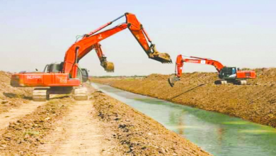بحيرة أسماك
