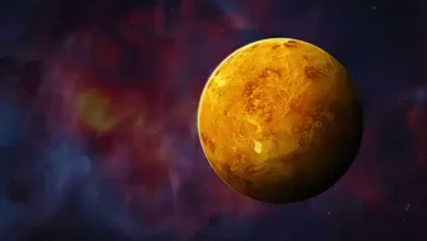 حمض الكبريتيك
