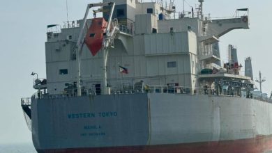 الأرز الأمريكي