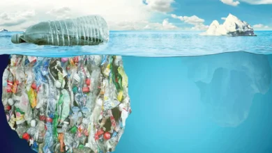 التلوث البلاستيكي