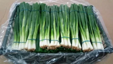 منع استيراد