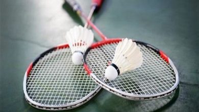 للريشة الطائرة