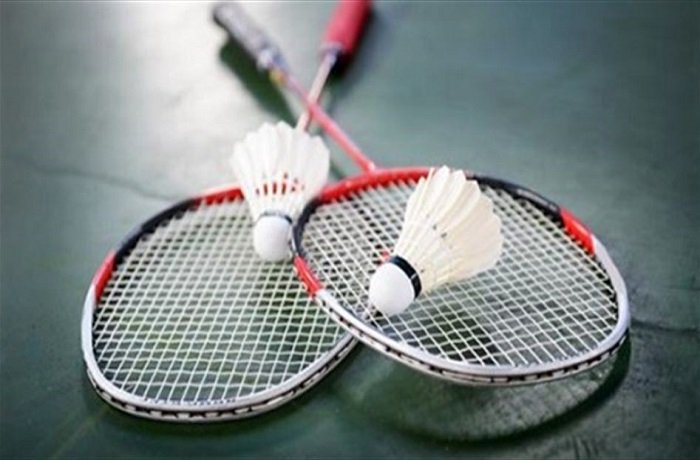 للريشة الطائرة