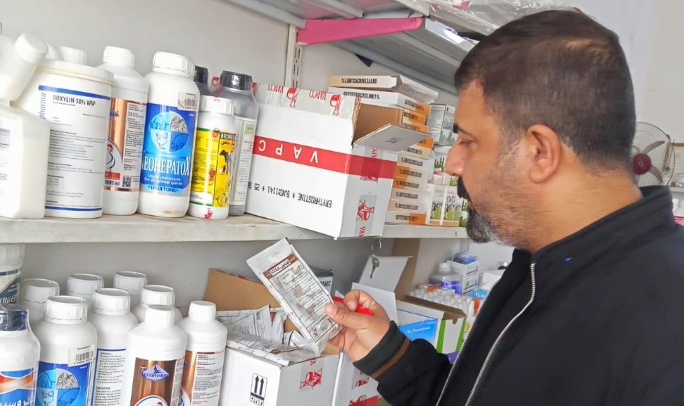 جولات ميدانية