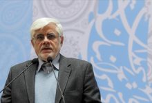 نائب الرئيس