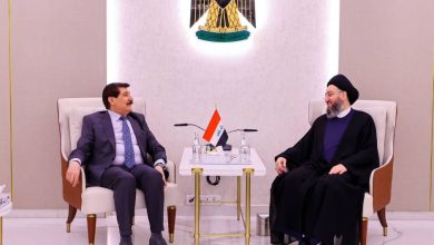 السيد الحكيم