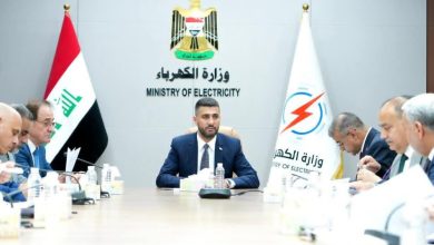 وزير الكهرباء