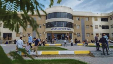 استحداث برنامجي