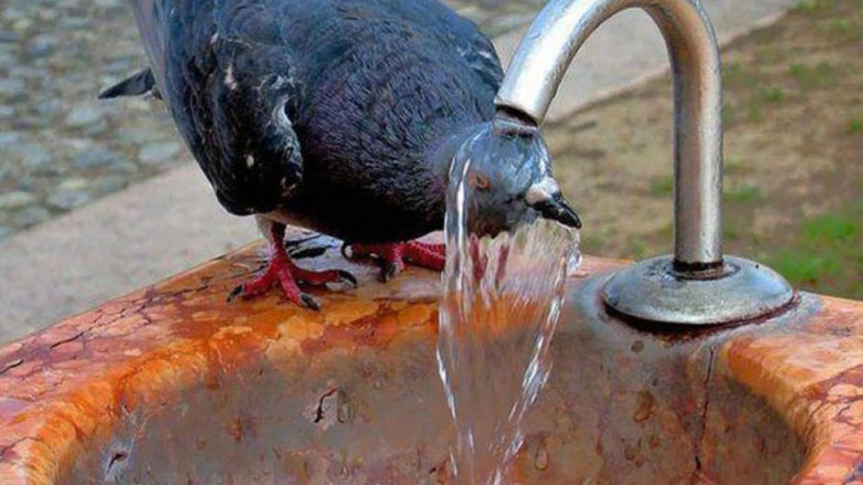 انخفاض جديد
